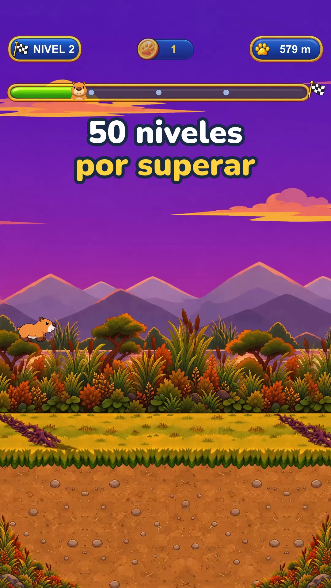50 niveles