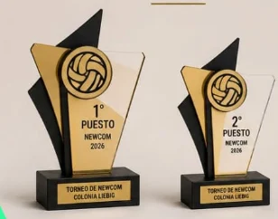 Lo que se pidió: la foto de referencia