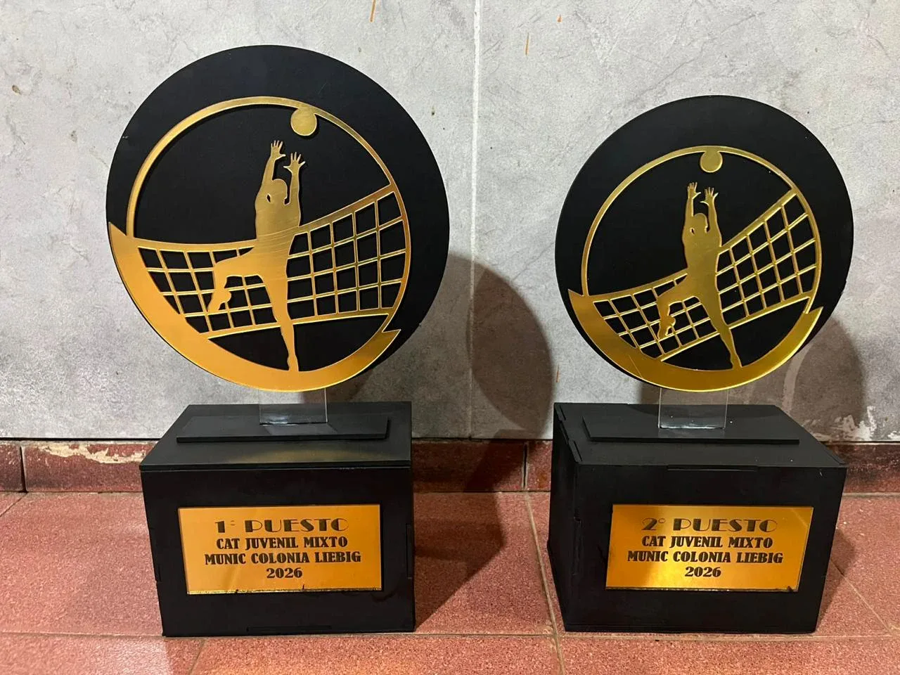 Trofeos de vóley juvenil mixto
